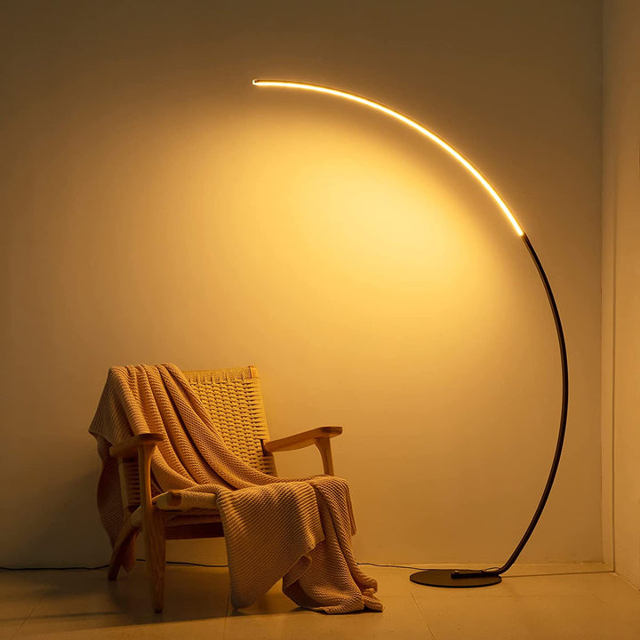 Modern Curve Floor Lamp